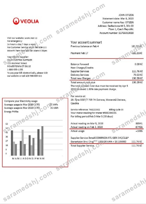 Czechia Veolia Energy Czech Republic energy utility bill